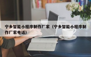山东宁乡智能小程序制作厂家（宁乡智能小程序制作厂家电话）