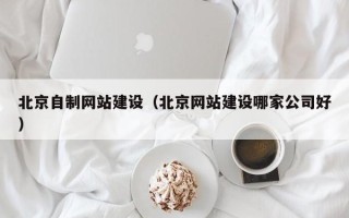 山东北京自制网站建设（北京网站建设哪家公司好）